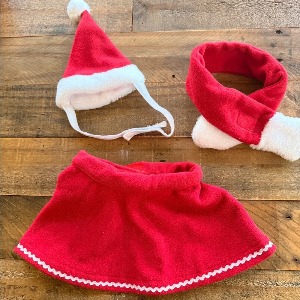 Cat Santa Costume